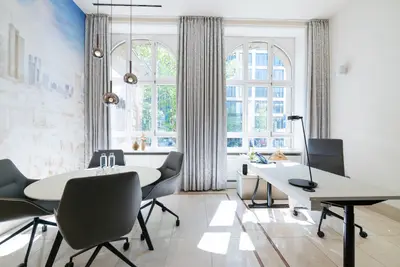 Satellite Office Frankfurt Villa Sander - 4