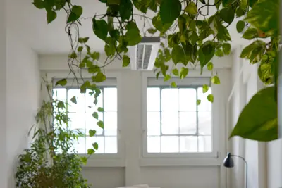 Grünes Büro mit Dachterrasse zur Untermiete - 3